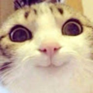 Meet your Posher, Anne